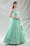 Shop_Samyukta Singhania_Green Net Embroidery Sequin Sweetheart Neck Stripe Lehenga Set 