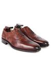 Buy_Fellmonger_Brown Brogue Cognac Glossed Oxford Shoes 