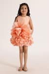 Buy_JANYAS CLOSET_Peach Taffeta Silk Solid Ruffles Dream Dress 