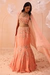 Buy_PARUL GANDHI_Peach Satin Georgette Hand Embroidered Floral Motifs Blouse Mermaid Lehenga Set _at_Aza_Fashions