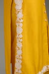 Label Deepshika Agarwal_Yellow Silk Mirrors Mandarin Collar Floral Work Border Kurta And Pant Set _Online_at_Aza_Fashions