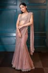 Buy_Isa By Dolly Wahal_Pink Net Hand Embroidery Isabelle Champagne Zig-zag Saree And Strappy Blouse Set _at_Aza_Fashions