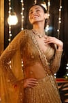 Isa By Dolly Wahal_Gold Net Hand Embroidery Sequin V-neck Icarus Lehenga Set _Online_at_Aza_Fashions