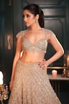 Shop_Isa By Dolly Wahal_Gold Net Hand Embroidery Sequins Sweetheart Chrome Lehenga Set _Online_at_Aza_Fashions