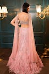 Shop_Isa By Dolly Wahal_Pink Net Hand Embroidery Feathers V-neck Fishcut Lehenga And Blouse Set _at_Aza_Fashions