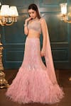 Isa By Dolly Wahal_Pink Net Hand Embroidery Feathers V-neck Fishcut Lehenga And Blouse Set _Online_at_Aza_Fashions