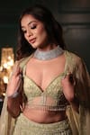 Shop_Isa By Dolly Wahal_Green Net Hand Embroidery Sequins Plunged V-neck Feather Pistachio Lehenga Set _Online_at_Aza_Fashions