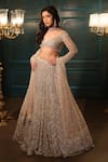 Buy_Isa By Dolly Wahal_Grey Net Hand Embroidery Sequins Metallic Attached Can-can Lehenga Set _at_Aza_Fashions