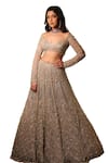 Isa By Dolly Wahal_Grey Net Hand Embroidery Sequins Metallic Attached Can-can Lehenga Set _Online_at_Aza_Fashions