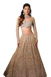 Isa By Dolly Wahal_Gold Net Hand Embroidery Sequins Off-shoulder Geometric Lehenga Set _Online_at_Aza_Fashions