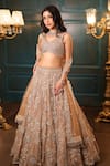 Shop_Isa By Dolly Wahal_Gold Net Hand Embroidery Sequins V-neck 3d Floral Lehenga Set 