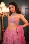 Shop_Isa By Dolly Wahal_Pink Net Hand Embroidery Jaal Sweetheart Rabea Floral Lehenga Set _Online_at_Aza_Fashions