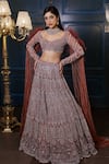 Buy_Isa By Dolly Wahal_Brown Net Hand Embroidery Sequins Sweetheart Feather Lehenga And Blouse Set_at_Aza_Fashions