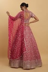 Shop_Aham-Vayam_Pink Net Embroidered Zari Sweetheart Gulzaar Floral Lehenga Set_at_Aza_Fashions