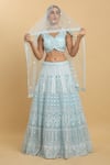 Buy_Aham-Vayam_Blue Net Embroidered Floral V Neck Bahaar Lehenga Set 