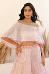 Buy_Studio Iris India_Pink Organza Embellished Sequin Petunia Foil Embroidered Lehenga With Blouse_Online_at_Aza_Fashions