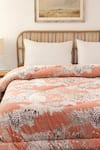 Shop_House This_Pink 100% Cotton Printed Mashak Single Comforter _at_Aza_Fashions