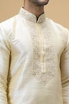 Buy_Arihant Rai Sinha_Beige Banarasi Art Silk Embroidered Thread Paisley Placket Kurta _Online_at_Aza_Fashions