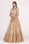 Abhinav Mishra_Gold Blouse Net Embellished Mirror Scallop V Neck Stripe Bridal Lehenga Set_Online_at_Aza_Fashions