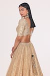 Abhinav Mishra_Gold Blouse Net Embellished Mirror Scallop V Neck Stripe Bridal Lehenga Set_at_Aza_Fashions