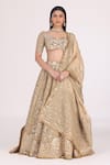 Buy_Abhinav Mishra_Gold Blouse Net Embellished Mirror V Neck Zari Bridal Lehenga Set_at_Aza_Fashions