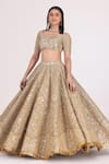 Shop_Abhinav Mishra_Gold Blouse Net Embellished Mirror V Neck Zari Bridal Lehenga Set_Online_at_Aza_Fashions