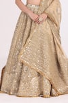 Buy_Abhinav Mishra_Gold Blouse Net Embellished Mirror V Neck Zari Bridal Lehenga Set