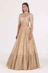 Shop_Abhinav Mishra_Gold Blouse Net Embellished Mirror Cutwork Bridal Lehenga Set_at_Aza_Fashions