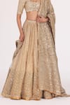 Buy_Abhinav Mishra_Gold Blouse Net Embellished Mirror Cutwork Bridal Lehenga Set_Online_at_Aza_Fashions