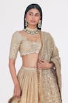 Shop_Abhinav Mishra_Gold Blouse Net Embellished Mirror Cutwork Bridal Lehenga Set_Online_at_Aza_Fashions