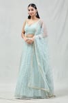 Buy_Meenagurnam_Blue Net Embroidery, Zari V-neck Checkered Lehenga Set _at_Aza_Fashions