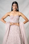 PANIHARI_Pink Organza Embroidered Sequin Tube Floral Leaf Lehenga With Blouse_at_Aza_Fashions