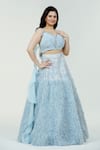 Buy_Ellemora fashions_Blue Nylon Organza Embellished Fur V Neck Lehenga Set_Online_at_Aza_Fashions