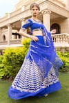 Shop_Tarisha Tholia_Blue Organza Hand Embroidered Zardosi Leaf Neck Suvi Sharara Saree With Blouse _at_Aza_Fashions