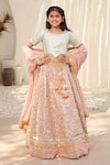 Buy_FAYON KIDS_Peach Georgette Embroidered Mirror And Thread Lehenga Set _at_Aza_Fashions