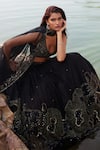 Shop_Mishru_Black Tulle Embroidery Sequin Plunge V Neck Ara Waistband Pleated Lehenga Set _Online_at_Aza_Fashions