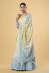 Shop_Samyukta Singhania_Yellow Anarkali Dola Silk Printed Floral Round Digital Pattern With Dupatta _Online_at_Aza_Fashions