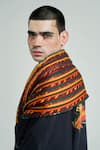 Shop_TIL_Multi Color Abstract Silk Panelled Scarf _Online_at_Aza_Fashions