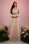 Buy_Label Priyanka Kar_Pink Net Hand Embroidery Floral Sweetheart Rose Lehenga Set _at_Aza_Fashions