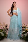 Buy_Label Priyanka Kar_Blue Net Hand Embroidery Floral Plunge Neck Sequin Lehenga Blouse Set _at_Aza_Fashions