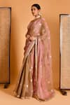 Bannhi_Pink Tissue Organza Embellished Sequin V Neck Floral Saree With Blouse _at_Aza_Fashions