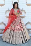 TANUSHAVY COUTURE_Red Pure Handloom Cotton Woven Banarasi Floral Dabka Dori V Bridal Lehenga Set _Online_at_Aza_Fashions