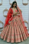 Buy_TANUSHAVY COUTURE_Red Pure Handloom Cotton Embroidery Dabka Sitara Paisley Bridal Lehenga Set _at_Aza_Fashions