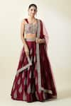 Samyukta Singhania_Wine Lehenga And Blouse Art Silk Embroidered Thread Geometric Pattern Set _at_Aza_Fashions