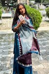 Thee Modern Roots_Blue Silk Temple Tales Printed Dupatta _at_Aza_Fashions