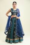Buy_Paulmi And Harsh_Blue Organza Embroidery V-neck Floral Print Multi Kali Lehenga Set _at_Aza_Fashions