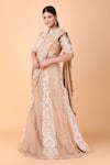 Buy_Nidhi Kejriwal_Beige Georgette Embroidery Floral Jaal Round Neck Lehenga Saree And Blouse Set 