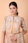 Buy_Nidhi Kejriwal_Beige Georgette Embroidery Floral Jaal Round Neck Lehenga Saree And Blouse Set _Online