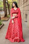 Essay by Sumedha Agrawal_Red Organza Satin Hand Embroidered Mirror Work V-neck Floral Print Lehenga Set _Online