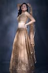 Alaya Advani_Brown Lehenga Georgette Embroidered Mirror Leaf Sequin And Set _Online